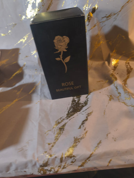 Beautiful Rose light up decor