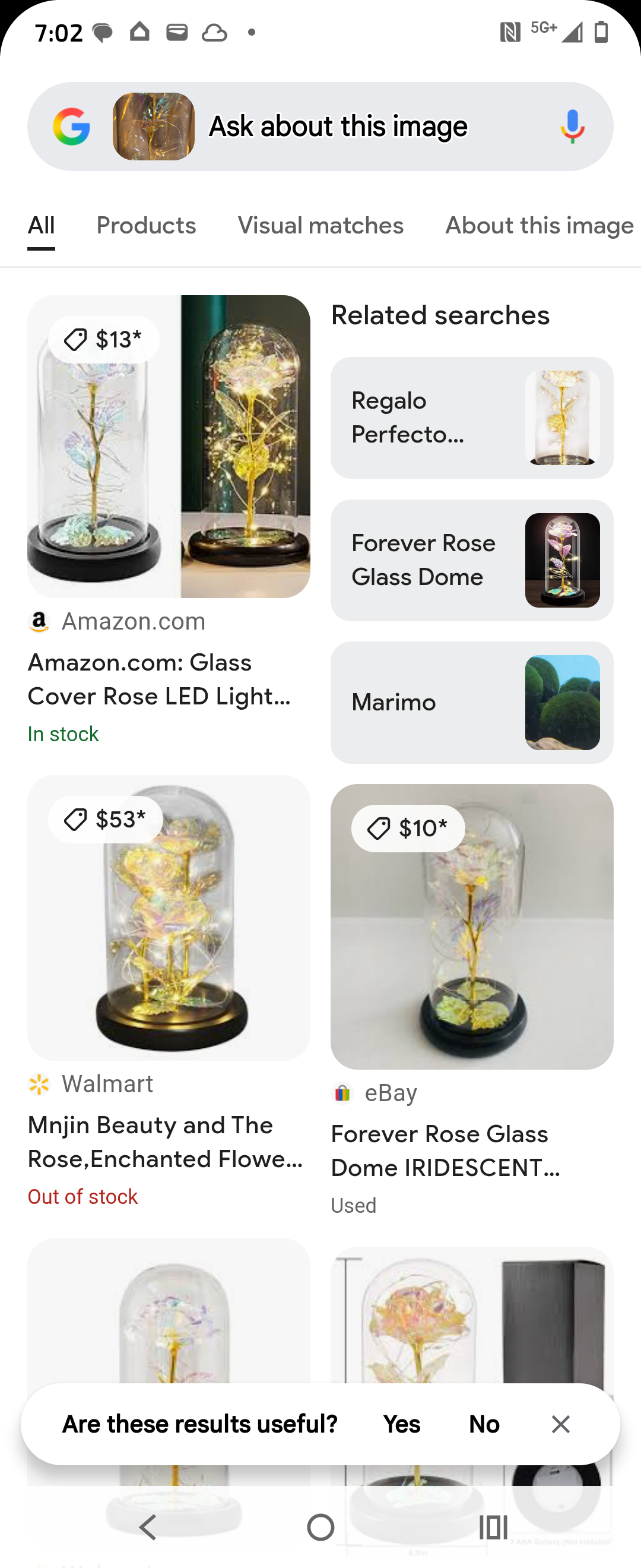 Beautiful Rose light up decor